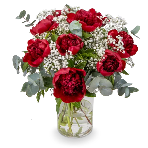 Kytice červených pivoněk